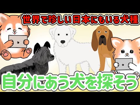 , title : 'わんちゃん日本にもいる珍しい犬種'