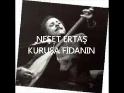 Neşet Ertaş / KURUSA FİDANIM