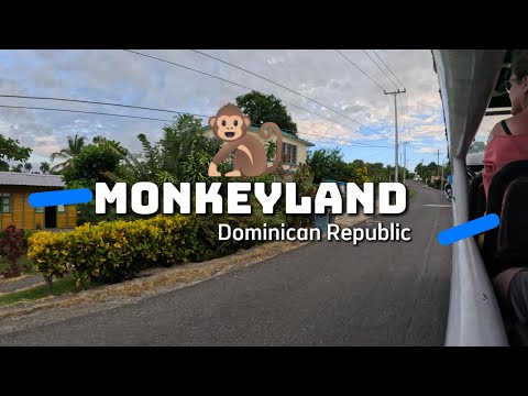 MonkeyLand | Dominican Republic Tour Review