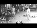 Red Beard Fight Avi