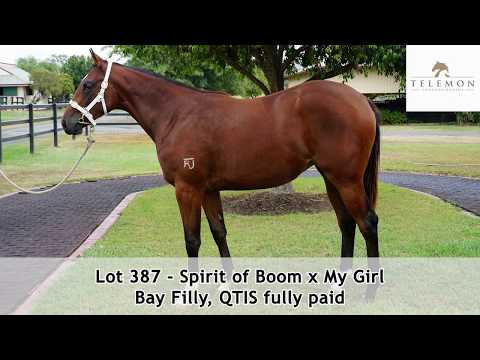 Magic Millions 2019 GC March - Lot 387 - Spirit of Boom x My Girl