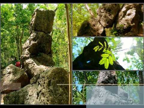 download lagu mp3 mp4 Lagu Bima Wadu Ntanda Rahi, download lagu Lagu Bima Wadu Ntanda Rahi gratis, unduh video klip Lagu Bima Wadu Ntanda Rahi