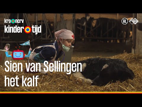 het Kalf | Sien van Sellingen (Kindertijd KRO-NCRV)