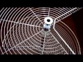 Карусель мебельная 750 белая/хром 3/4 Nova REJS