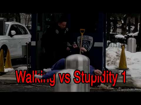 Walking vs Stupidity 1