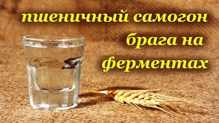 Самогон из пшеницы (холодное осахаривание)