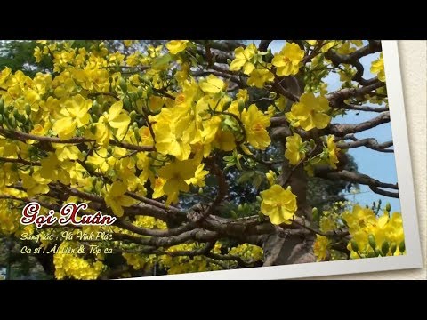 Gọi xuân - Ái Liên