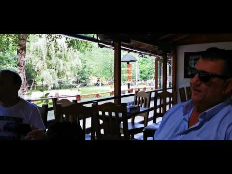 MELODII NEMURITOARE CU IONICA RADU NELU BUCUR SERGIU STB GEORGE MICOLOIU