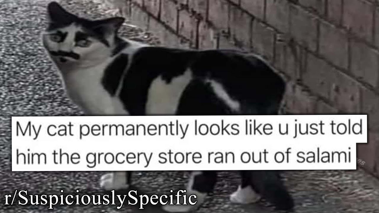 r/SuspiciouslySpecific | WHAT??!?!?!