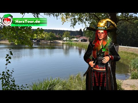 HarzHexe - Birnbaumteich bei Neudorf im Harz