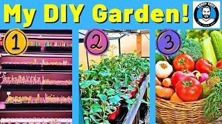 4-Months! Seed to Harvest! How To Grow Your Own Food At Home!