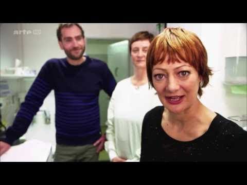 Xenius - Hygiene - zwischen Übermaß und Augenmaß [Doku HD]