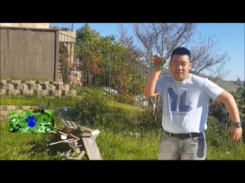 How to draw a four leaf clover