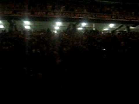 MUSE BDO Crowd going hard!!!!