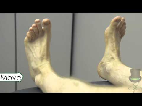 The Rheumatological Examination of the Ankles and Feet