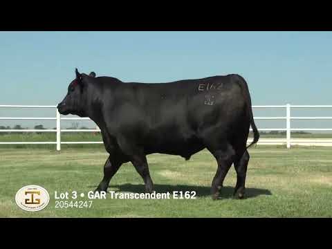 Lot 3, G A R Transcendent E162