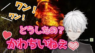 【かわいい】配信中"愛犬"乱入で脳が溶け出す葛葉【葛葉/イブラヒム/イマジナリードッグ/にじさんじ/Icarus/切り抜き】
