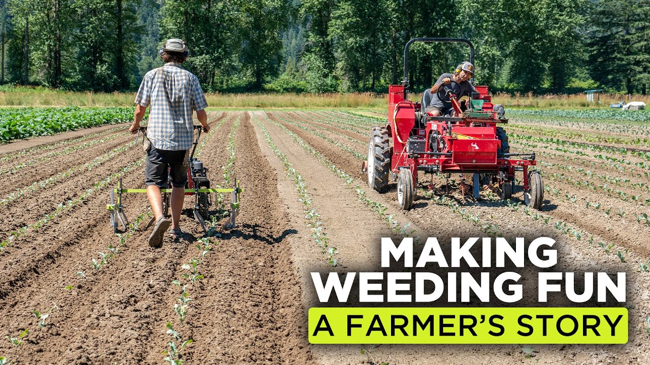 Improve Vegetable Quality and Grow Your Farm Through Mechanical Cultivation - A Farmer's Story