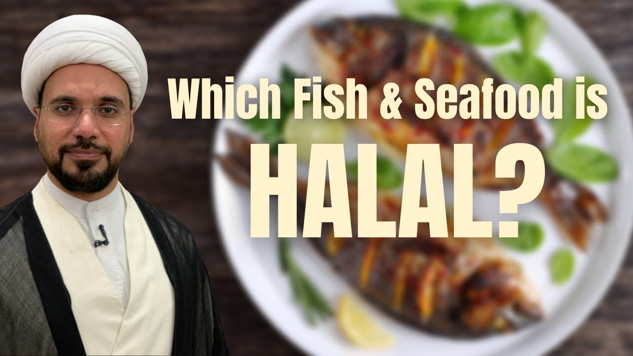 Can Muslims Eat Fish Life Set Go can-muslims-eat-fish-life-set-go