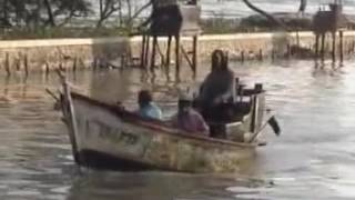 Download lagu PAPACANGAN cicih muda ~ lagu sunda jaipongan mp3 Download lagu PAPACANGAN cicih muda ~ lagu sunda jaipongan mp3