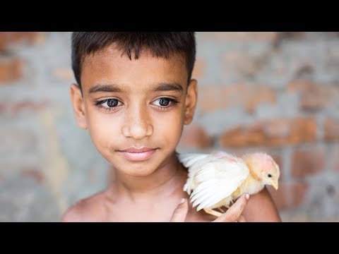 Kinderarbeit in Bangladesch: Die Geschichte von Jitu