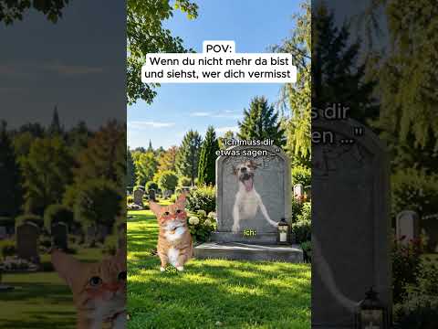 POV: Wenn du nicht mehr da bist und siehst, wer dich vermisst #shorts #katzen #memes
