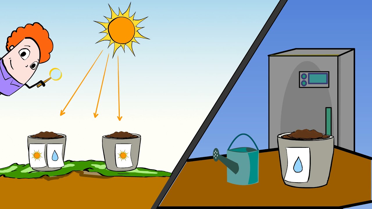 What part of sunlight do plants need?