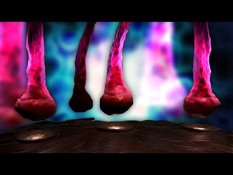 Human Physiology - cAMP Second Messenger