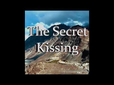 The Secret Kissing - Hang Massive (Meyog remix)