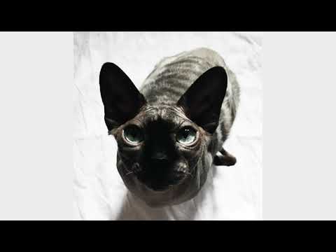 90Volts - Your Own Path (Full Album) [Techno]