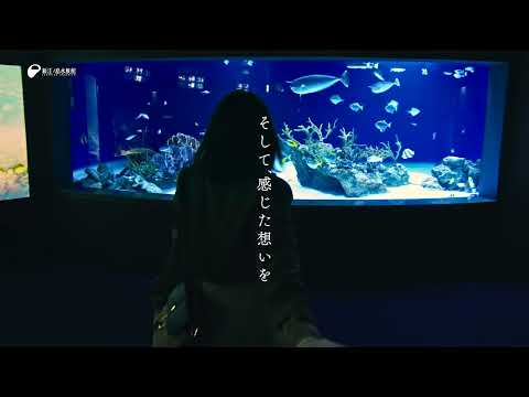 新江ノ島水族館　20周年