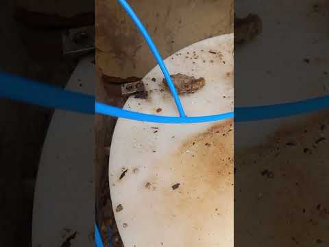 Pozo de agua n2 en el Quebrachal Anta Salta 