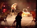 Ringling Brothers Circus Tiger Act Boston MA 10 14 2012