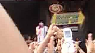 The Pink Spiders Warped Chicago.