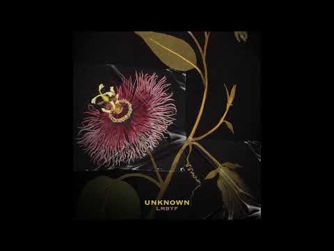 Unknown Artist - LMBYF