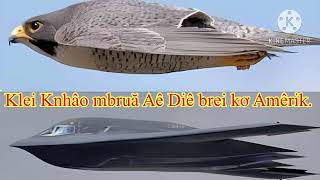 Jih jang sa ai hluê klei bhiăn,sa knuk kna kdjăp ktang.