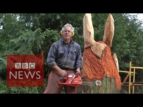 Tacoma: Unlocking the secrets of the 'city of destiny'