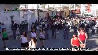 preview picture of video 'Almoloya Hidalgo - Caminata por Aniversario del COBAEH a Nivel Estatal'