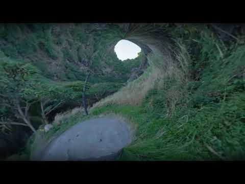 Don't Kid Yourself -- Wahoo! Original