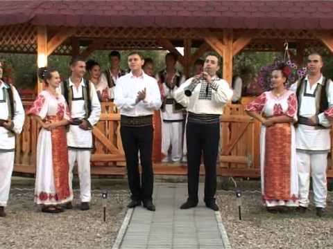 Puiu Codreanu - Unde-s bani, acolo-i minte