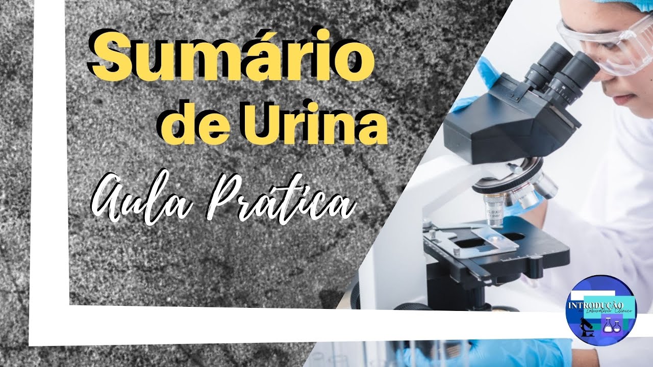 SUMARIO DE URINA (Aula prática)