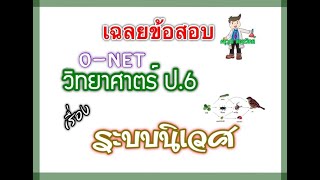 ตะลุย O-NET วิทยาศาสตร์ ป.6  ||  พาเฉลยข้อสอบ O-NET เรื่อง ระบบนิเวศ