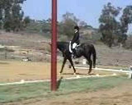 DCD Lucian El Cap Dressage_Test 1_080705