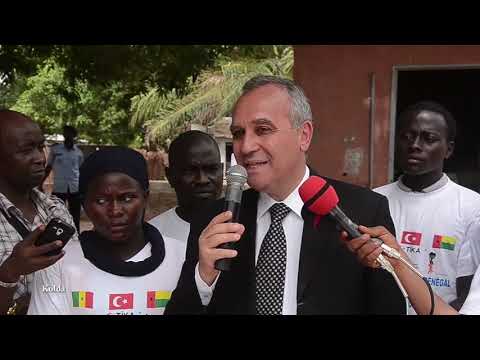 Témoignages et Impact