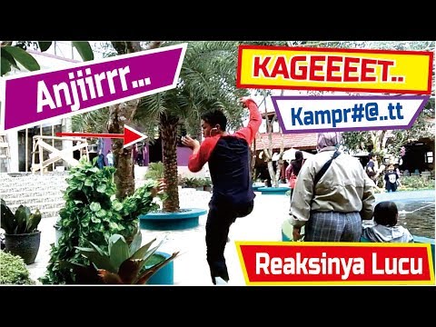 taman-bunga-the-forest-island-purwokerto-di-prank-manusia-pohon