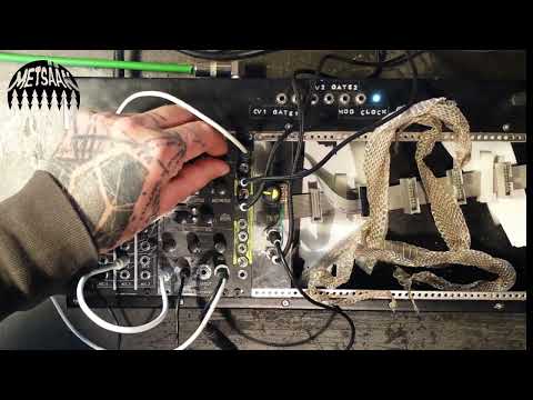 M4TM++BASS (analog bass kick module) + CINDER BLOCK (limiter/compressor)