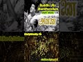 Buddhi Ulla Music Shorts Chandarababu Song