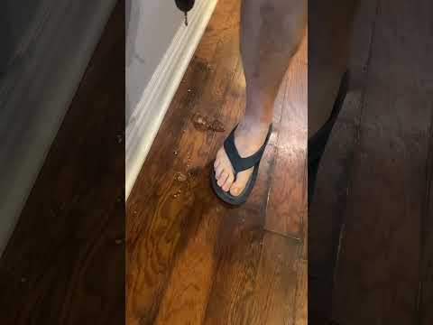 Failed renovation#funny #foryou #funnyvideos #fail