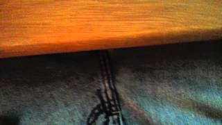 Accidental conversation on camera