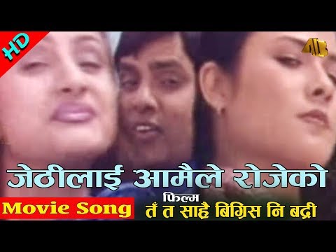 Jethilai Aamaile Rojeko | Ta Ta Sarai Bigris Ni Badri Movie Song | AB Pictures Farm | B.G Dali